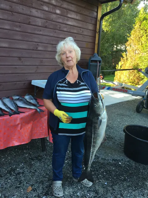 ”Fishing hall of fame” på Lista + Fishing license - Image 1