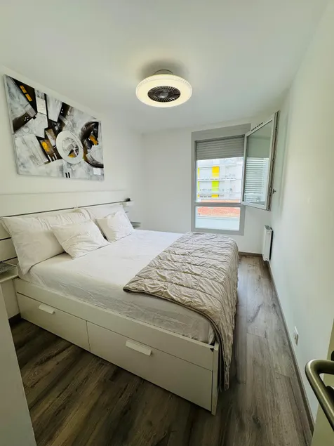 Superb 2-bedroom apartment near Geneva / Ski resort - Image 1