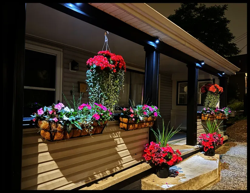 The Garden House - Image 1
