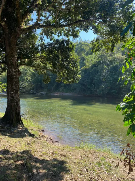 House in the mountains, facing the river! - Image 1