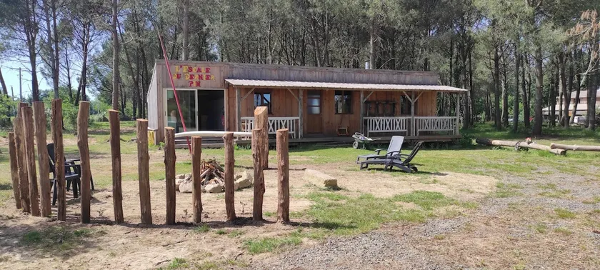 The Last Pine Stopover - Image 1
