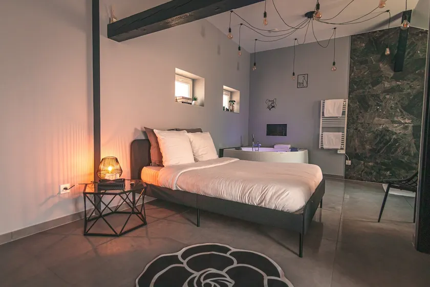 Romantic loft • Whirlpool • Private terrace • Low energy house - Image 1
