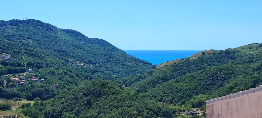 Panoramic sea view - Image 1