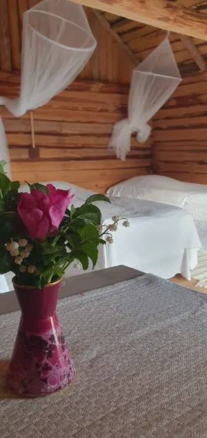 Peaceful barn accommodation - Image 1