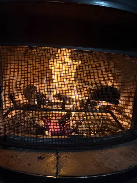 McCall’s most affordable adventure getaway! - Image 1