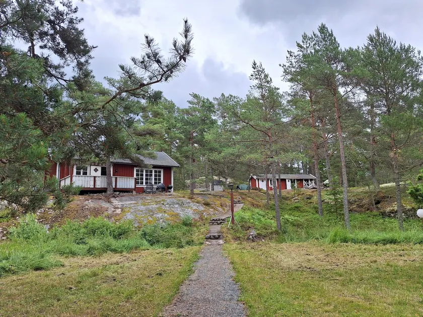 Rural cottage in a harmonious, seaside forest environment - Image 1