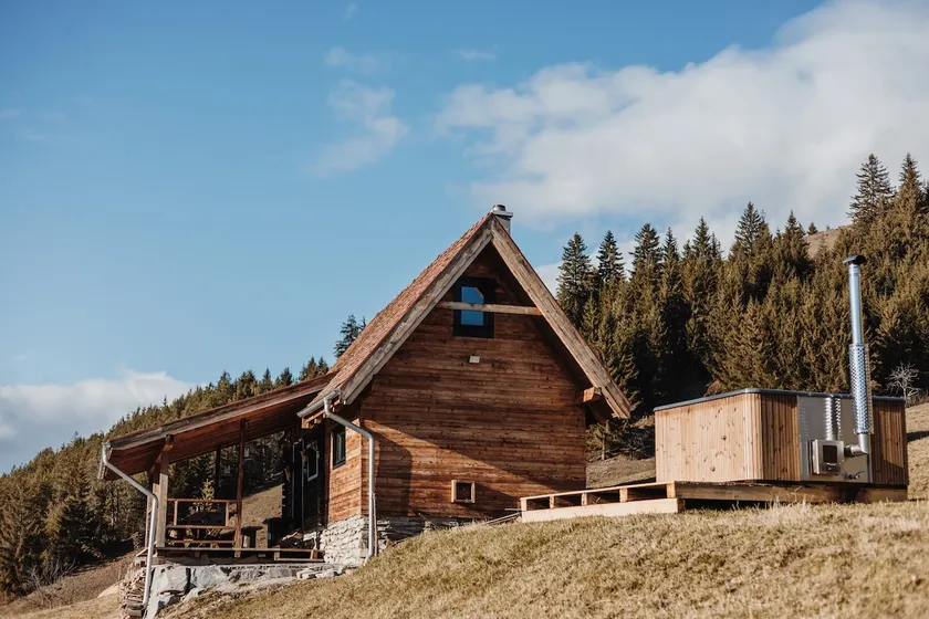 Wildernest in the Carpathians - Image 1