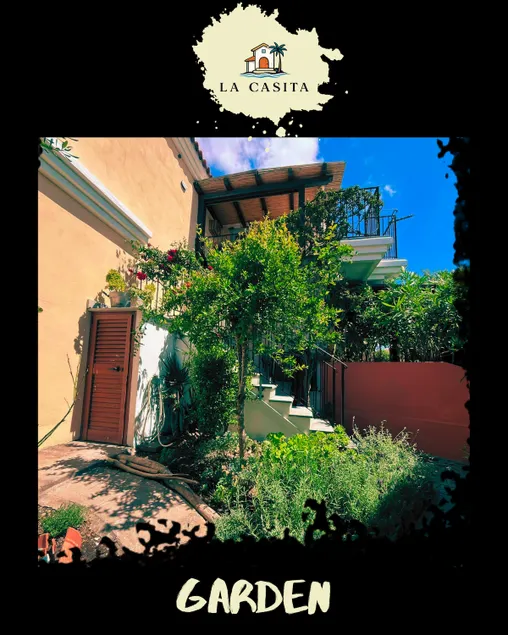 La Casita in Costa Smeralda: Smeralda’s wild side - Image 1