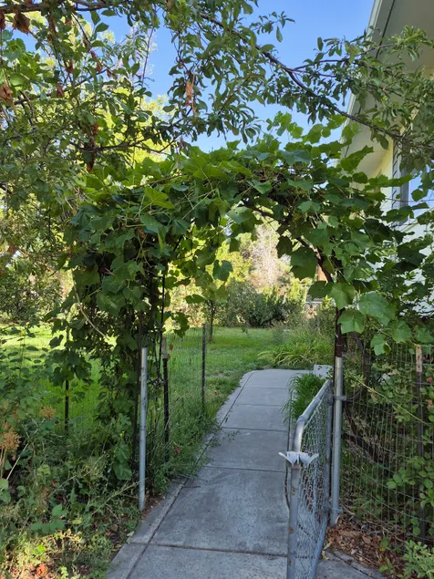 Greenish-Acres Farmhouse - Image 1