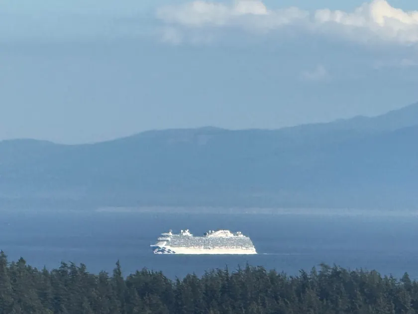 The Dream Lookout - Image 1