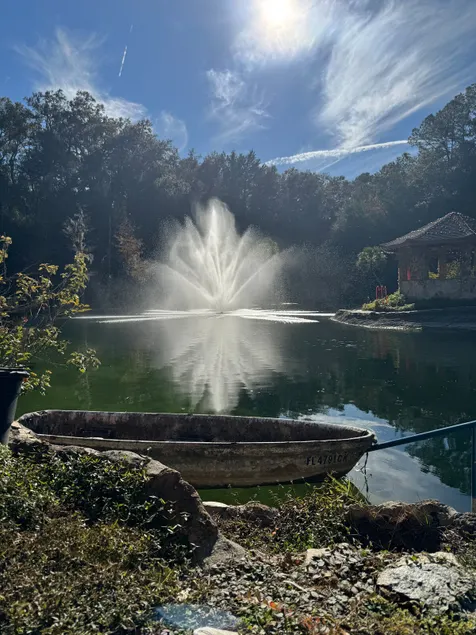 Nature Coast Retreat - pool, paddle boards, BBQ - Image 1