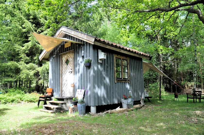 Cabin in the Forest - Image 1