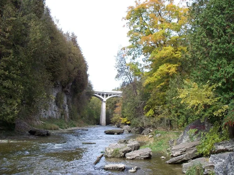 Comfortable one Bedroom Apartment in Elora! - Image 1