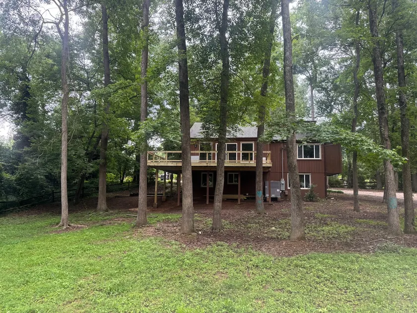 The Treehouse - Image 1