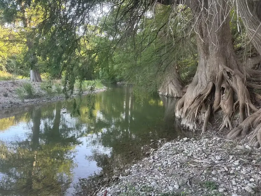 Riverfront | 1.7 Acre Nature | Peaceful | DogsOK - Image 1