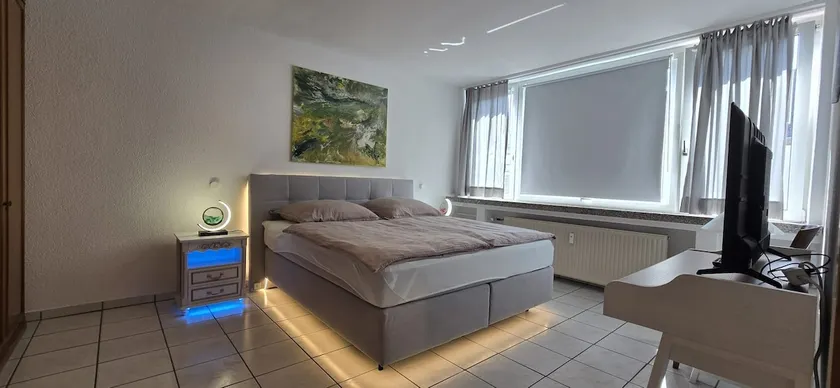 Vacation and business city apartment - Image 1