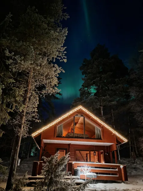 Forest Chalet with Sauna in Holiday Village - Image 1