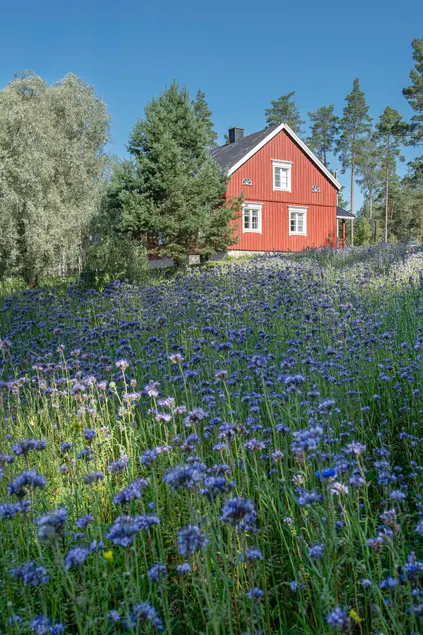Nybacka Torp - Image 1