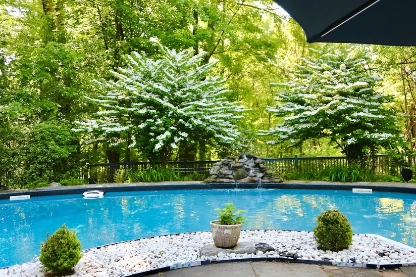 Dog-Friendly Retreat Near HITS | Ideal for Riders - Image 1