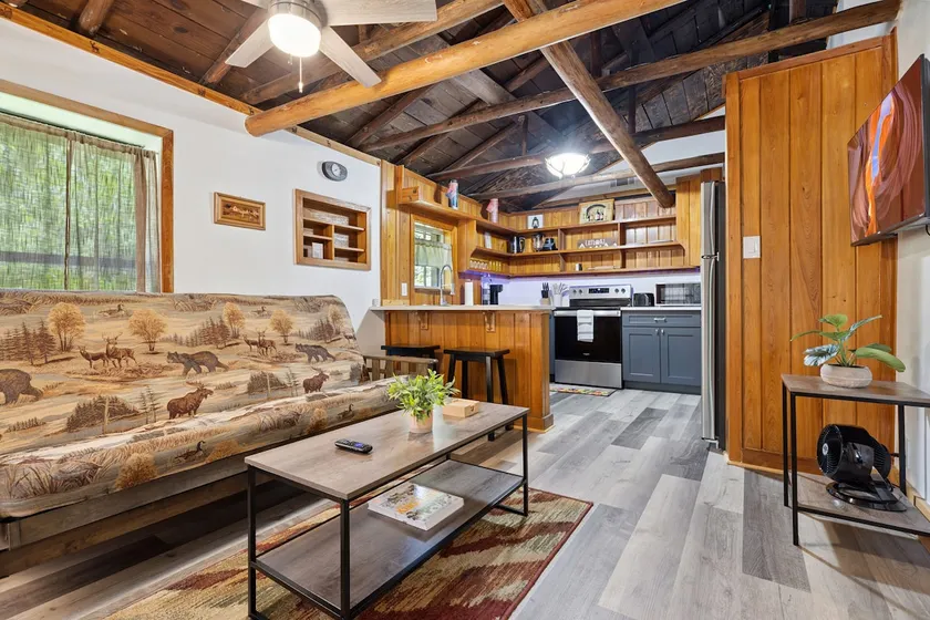 Hidden Gem Cabin in Interlachen - Image 1