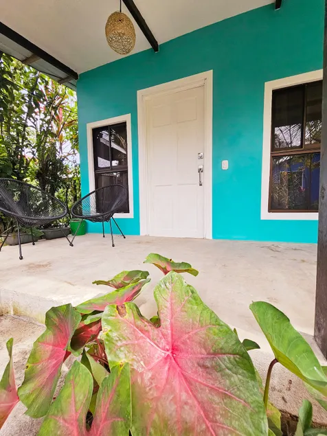 Casa Selvamar, un oasis en la selva - Image 1