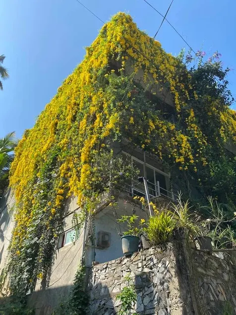 Kandy Luxe Villa - Image 1