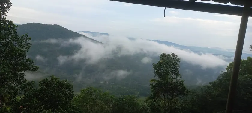 Misty Mountain View.High RangesKuttikanam#Vagamon# - Image 1