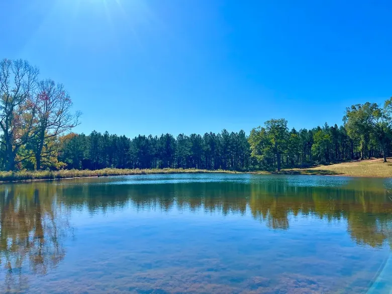 King Bed & Private Pond Oasis w/ Pedal Boat Ride! - Image 1