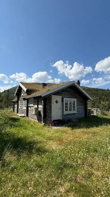 Log cabin by the small Tronsjøen - Image 1