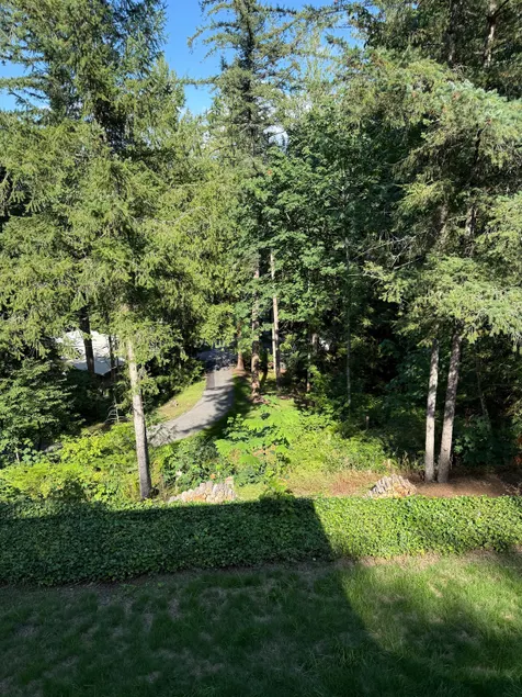 Aspen, at the Cedars - Image 1