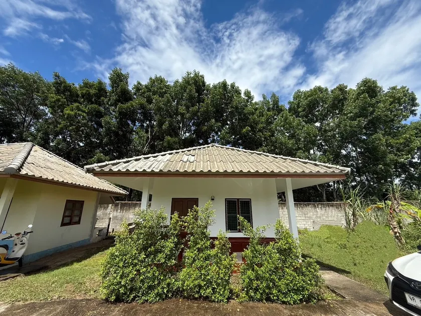Trio house pai - Image 1