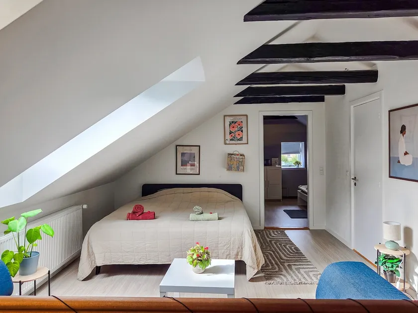 Large cozy, good location, closed/open terrace - Image 1