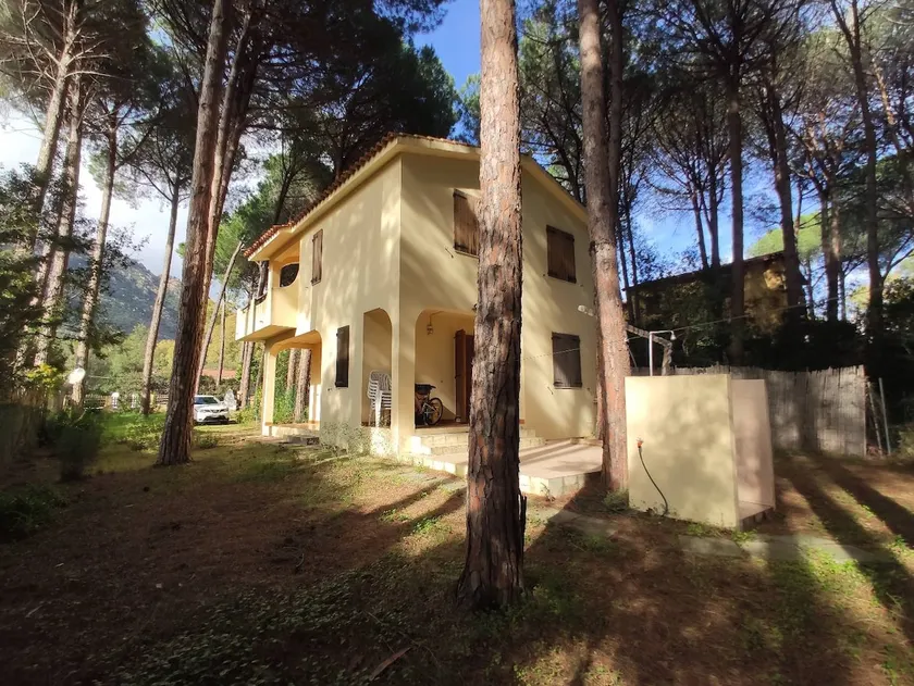 Villa Pineta – Santa Margherita - Image 1