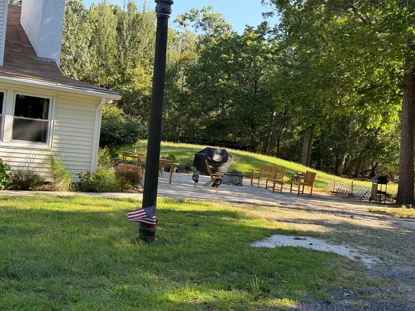 Farm House Swan Lake Resort 4 bd 2 bath house - Image 1