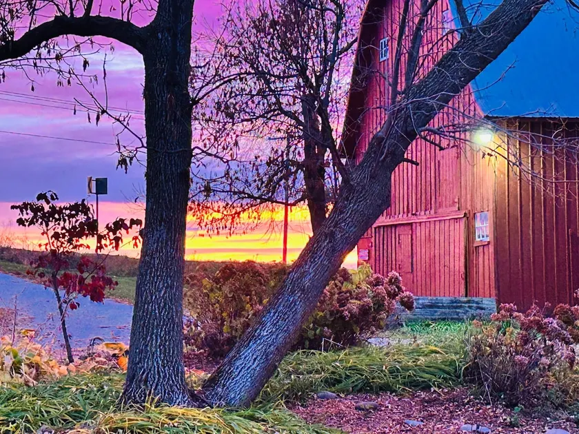 Stay at Country Retreat and Support Animal Rescue - Image 1