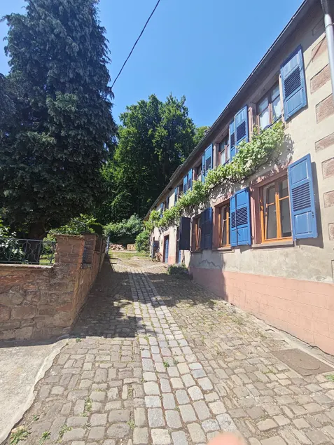 ”Au Cocon des Bois” Gîte - Image 1