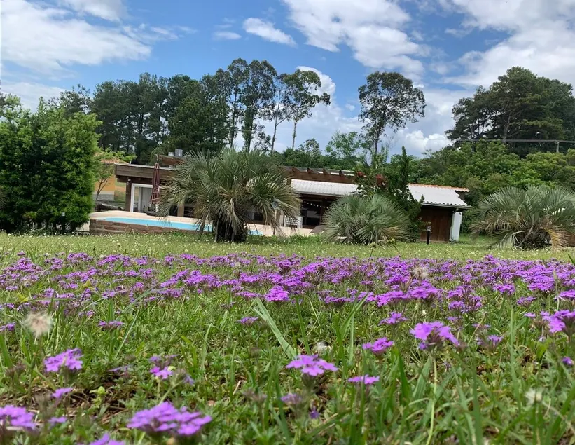 Casa Palmital Osorio - Image 1