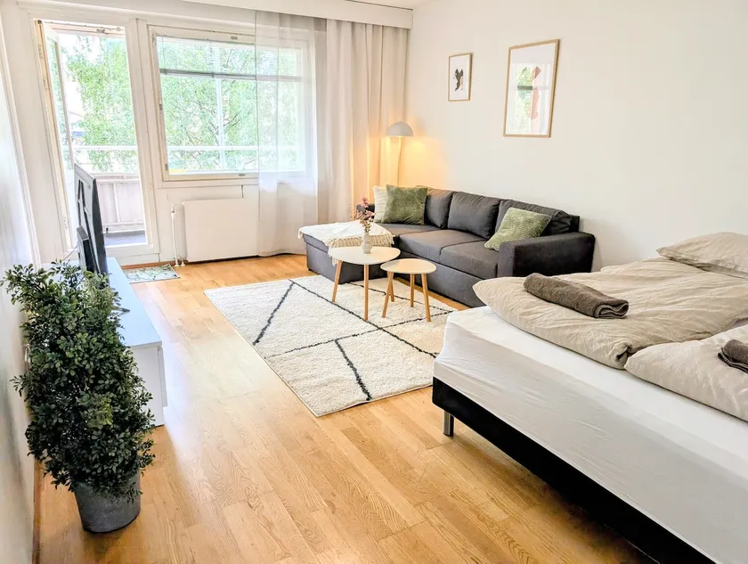 Nice and cozy city apartment, free parking - Image 1