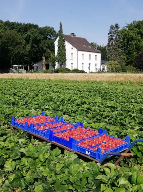 Apartment on the farm in Emmerich/Rhein - Image 1