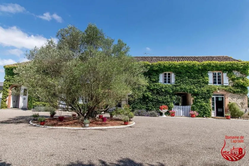 Domaine de La Prade • Swimming pool, animals & nature - Image 1