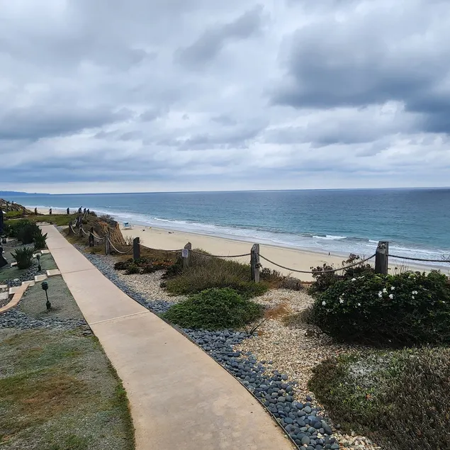 Beach, Tennis, Pool, Horse Racing, Music, Arts. - Image 1