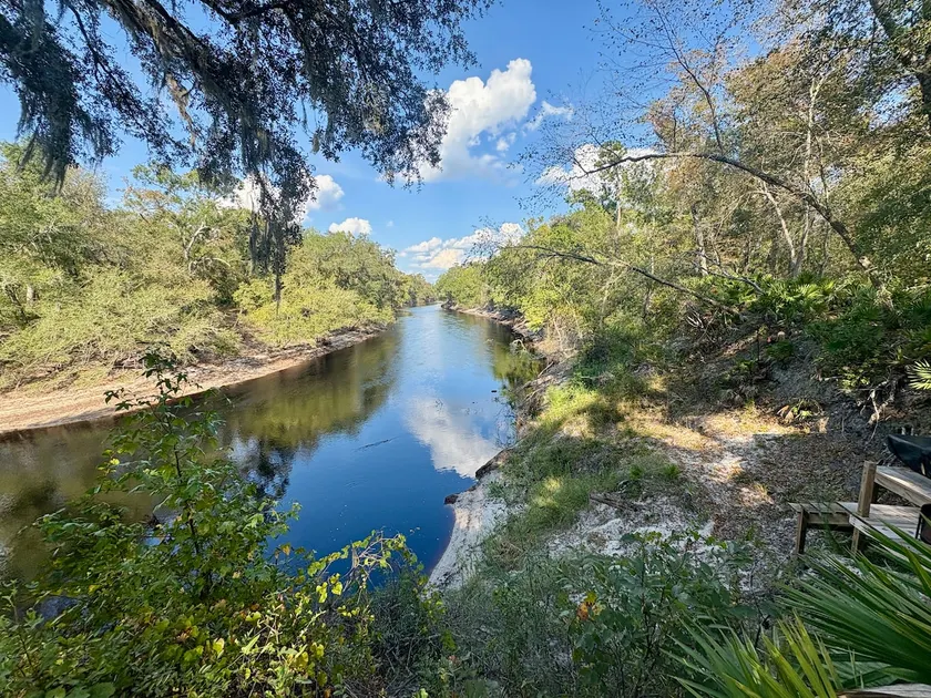 Luxury Riverside Escape on the Suwannee - Image 1