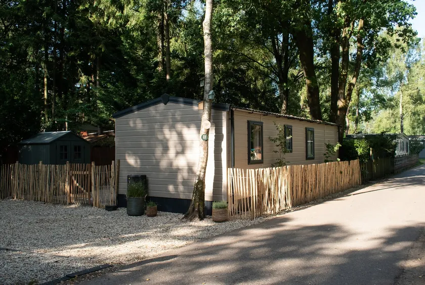Boshuisje Veluwe – Hoenderloo – dogs welcome - Image 1