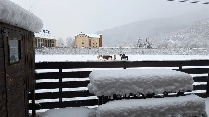 APARTAMENT Espot. NATURLIG PARC Pirineu - Image 1