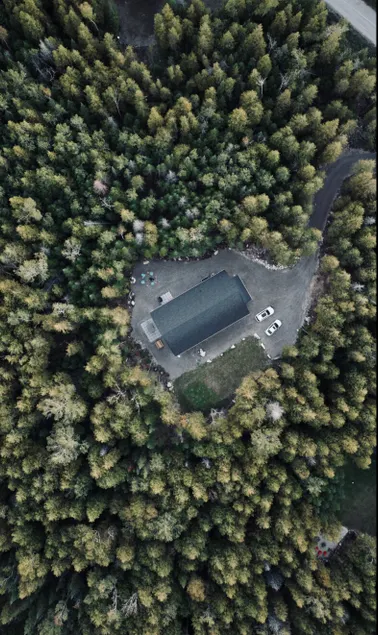 Modern Forest Paradise | Bruce Peninsula - Image 1