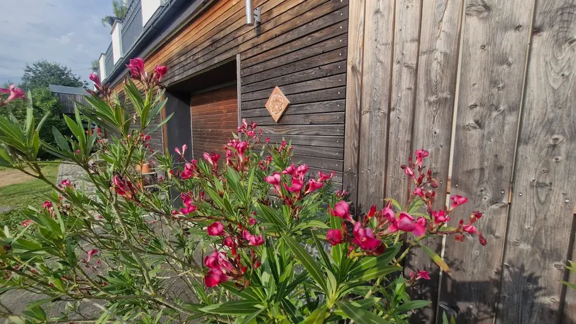 Vacation home on the Bühl - Image 1