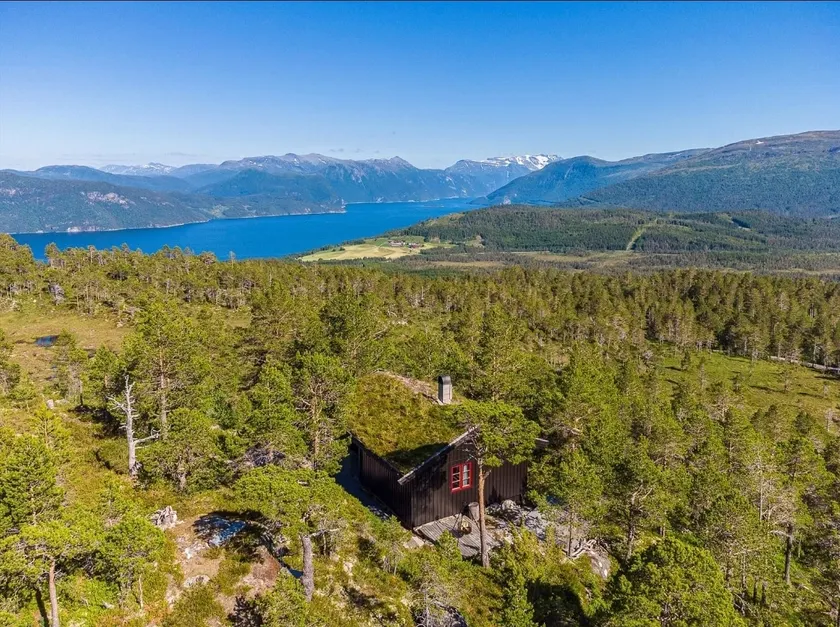 Blueberry hilltop - views, nature and tranquility - Image 1