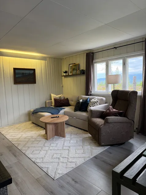Cozy cabin in Ljørdalen - Image 1