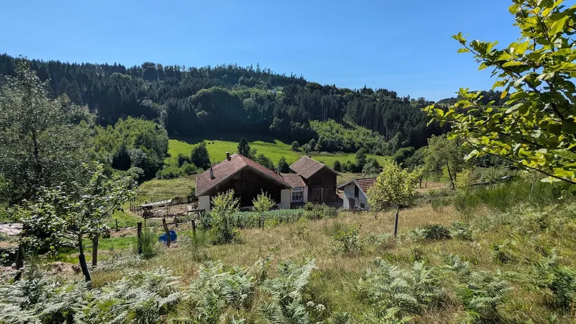 Chalet Vosges Montagne A secluded site for 2! - Image 1