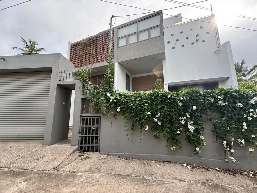 Urban Vines - Image 1